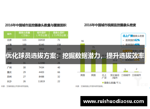 优化球员选拔方案：挖掘数据潜力，提升选拔效率