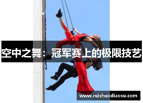 空中之舞：冠军赛上的极限技艺